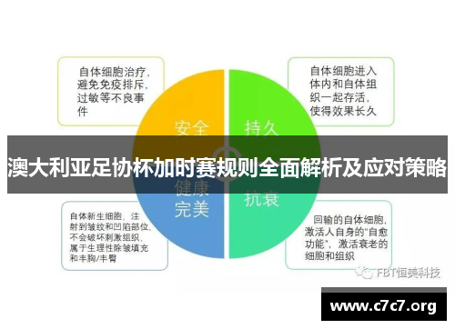 澳大利亚足协杯加时赛规则全面解析及应对策略